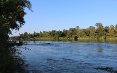 Des ouvrages Girardon à la renaturation des berges du Rhône